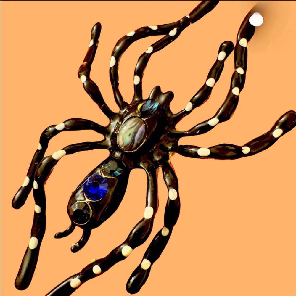 XXL 🕷️ Hand painted SPIDER BROOCH!